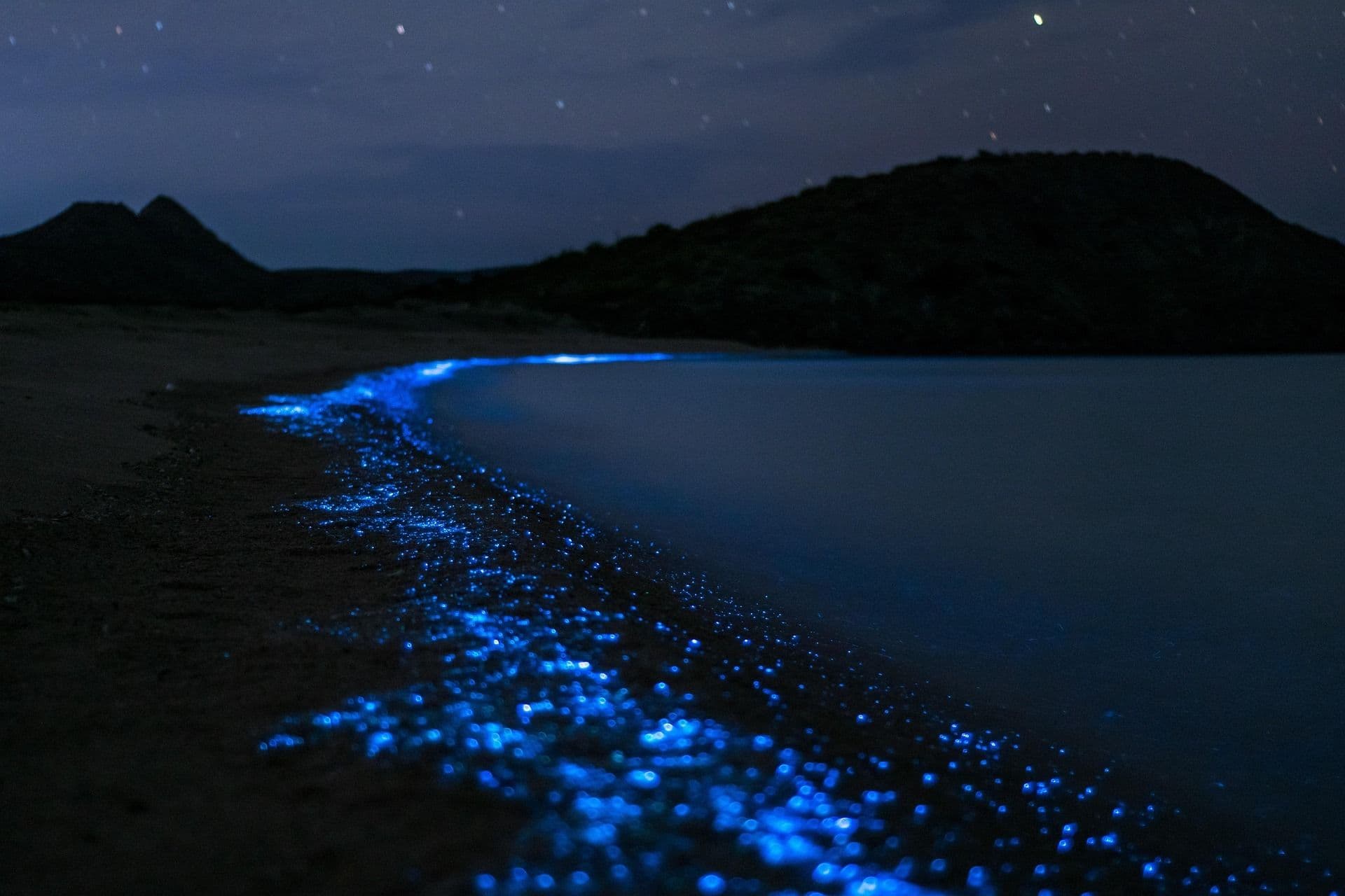 MAR DE ARDORA: LUZ A TRAVÉS DEL MOVIMIENTO